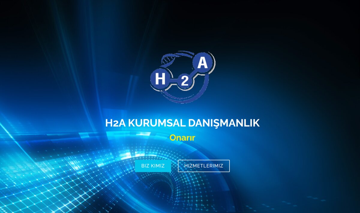 H2A Danışmanlık